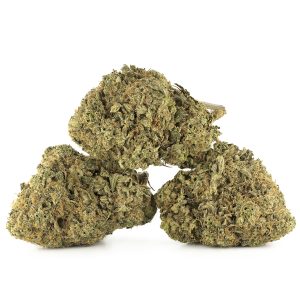 Buy Animal Face #10 Strain Online Green Society