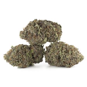 Buy Black Cherry Soda Strain Online Green Society