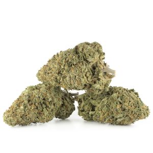 Buy Jack Herer Strain Online Green Society