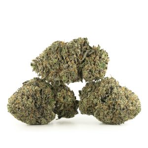 Buy Pink Gas Strain Online Green Society