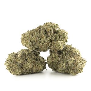 Buy Triangle Mints Strain Online Green Society