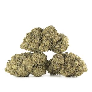 Buy Alaskan Thunder Fuck Strain Online Green Society