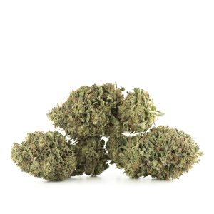 Buy Diamond Kush Strain Online Green Society