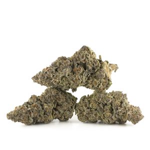 Buy King Tut Strain Online Green Society