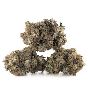 Buy Mike Tyson by Pluto Craft Cannabis Strain Online Green Society