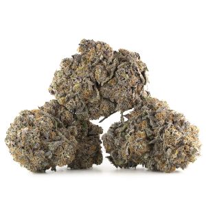 Buy Tropicana Cookies Strain Online Green Society