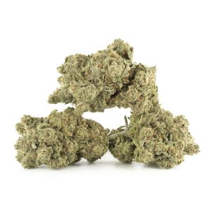 Buy Gary Payton Strain Online Green Society