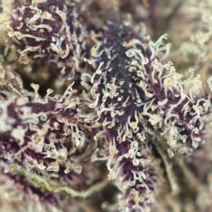 Buy God's Green Crack Strain Online Green Society