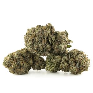 Buy King Louis XIII Strain Online Green Society