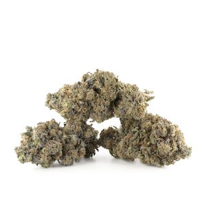 Buy Meat Breath Strain Online Green Society