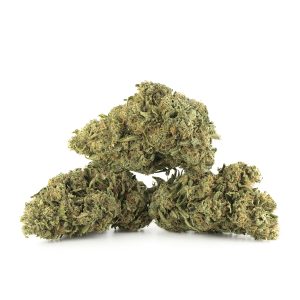 Buy Super Lemon Haze Strain Online Green Society