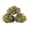 Buy White Runtz Strain Online Green Society