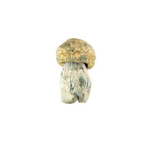 Buy Avalanche Magic Mushrooms Online Green Society