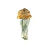 Buy Code Blue Magic Mushrooms Online Green Society