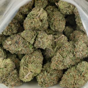 Buy Death Tuna Strain Online Green Society