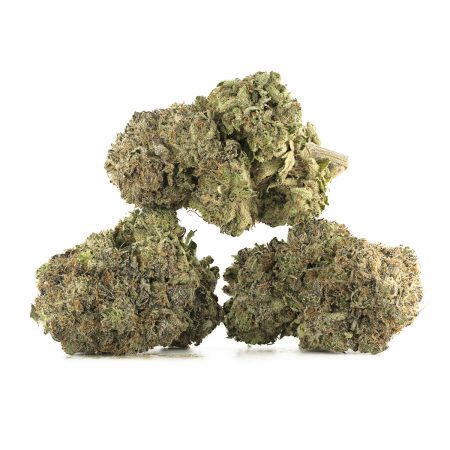 Buy Gas Mask Strain Online Green Society