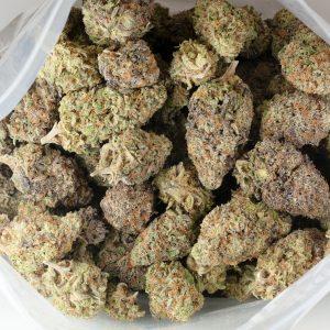 Buy Permanent Marker Strain Online Green Society