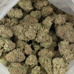 Buy Space Queen Strain Online Green Society
