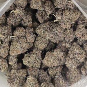 Buy Where's My Bike by Karma Genetics Online Green Society