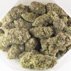 Buy Astro Pink Kush by Pluto Craft Cannabis Online Green Society