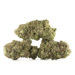Buy Astro Pink Kush by Pluto Craft Cannabis Online Green Society