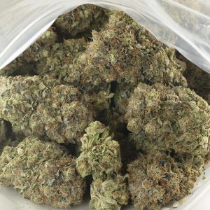 Buy Fatso by Pluto Craft Cannabis Online Green Society