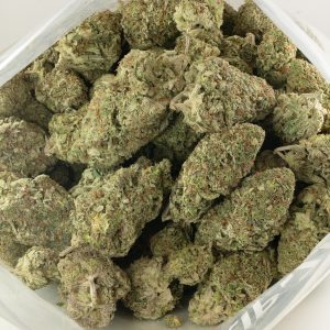 Buy Jack Herer Strain Online Green Society