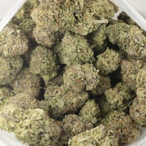 Buy Rockstar Tuna Strain Online Green Society