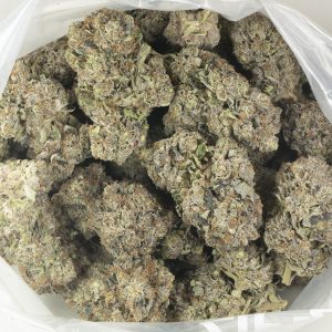 Buy Black Gas Strain Online Green Society