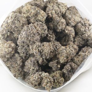Buy Black Truffle Strain Online Green Society