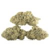 Buy Forum Cut Girl Scout Cookies Strain Online Green Society