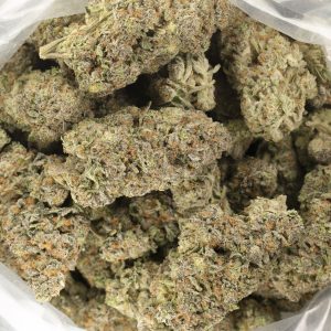 Buy Gorilla Haze Strain Online Green Society