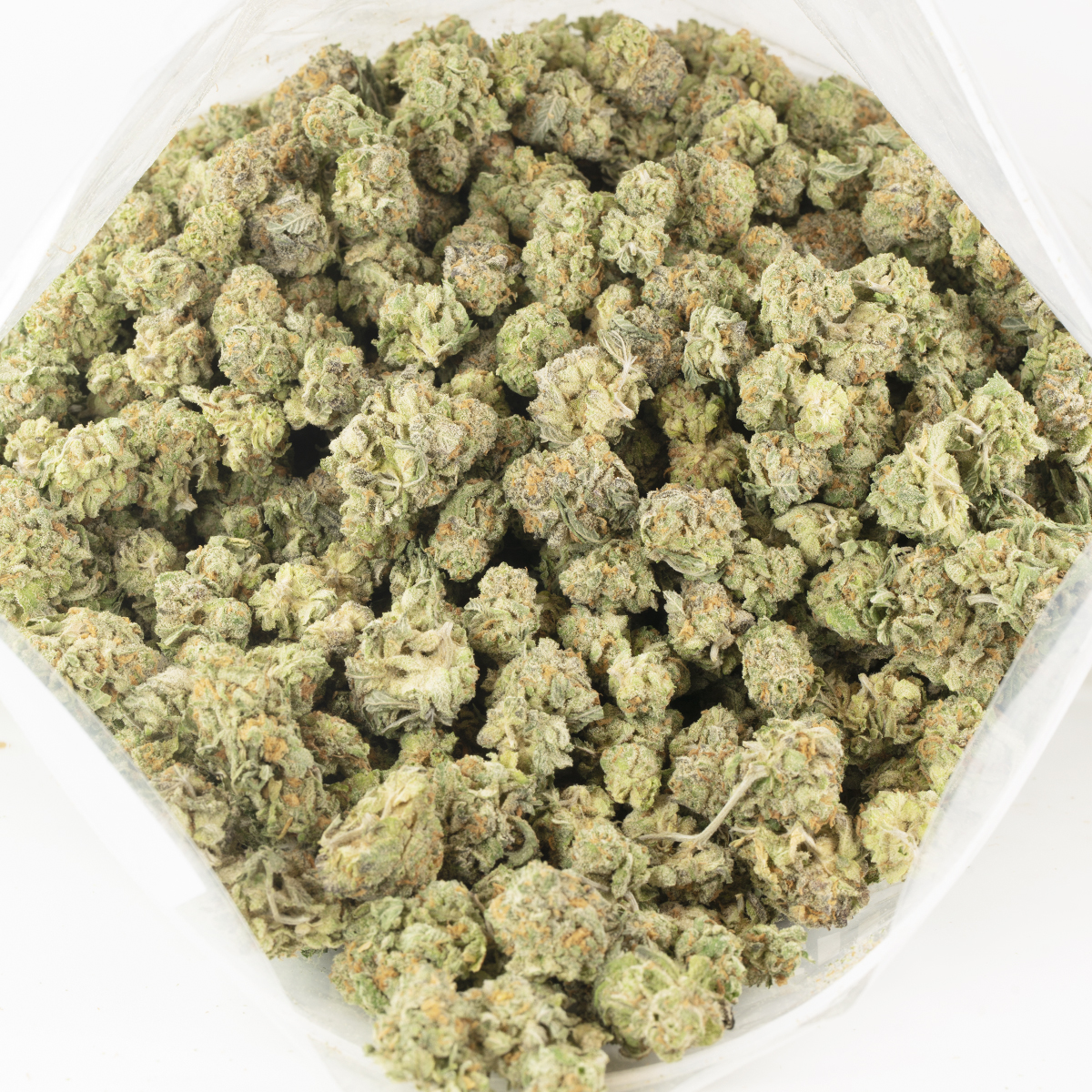 Buy Goudaberry (Popcorn) Online Green Society