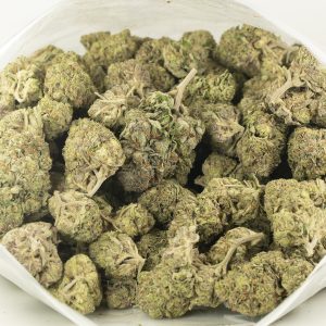 Buy Master Kush Strain Online Green Society