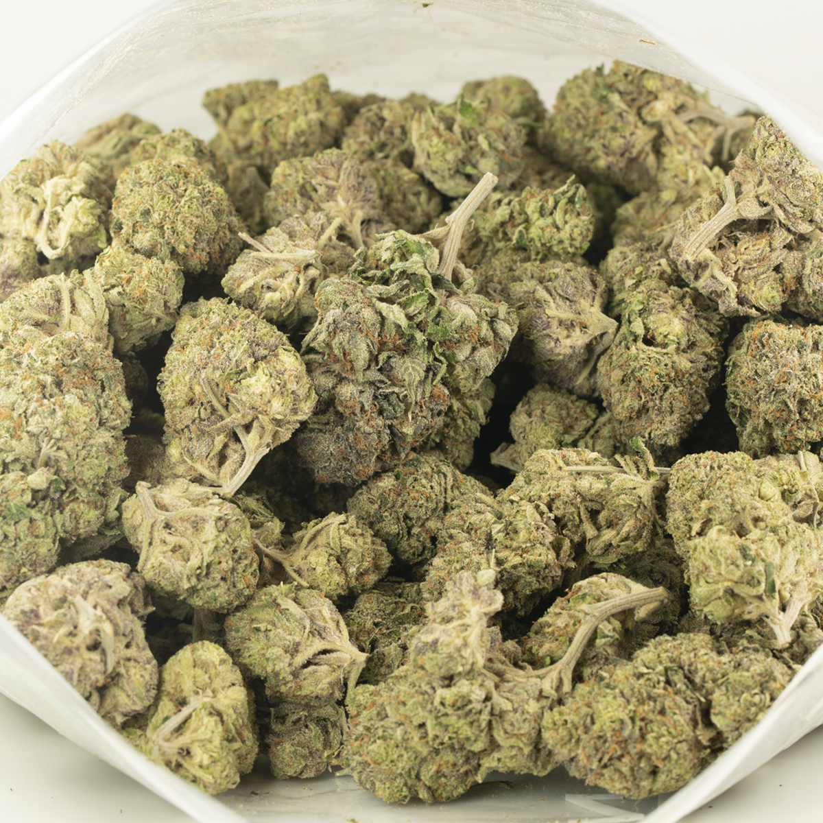 Buy Master Kush Strain Online Green Society