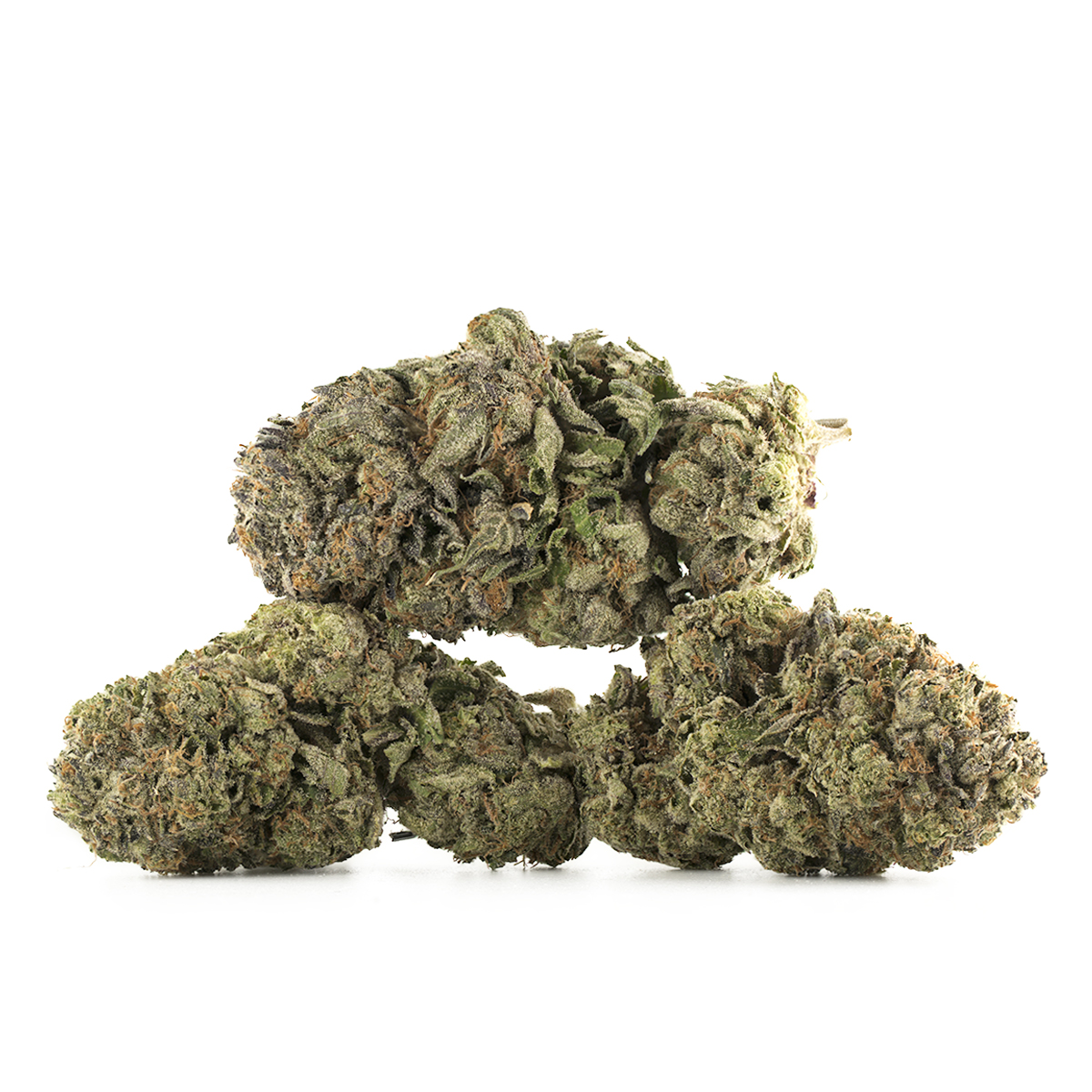 Buy Master Kush Strain Online Green Society
