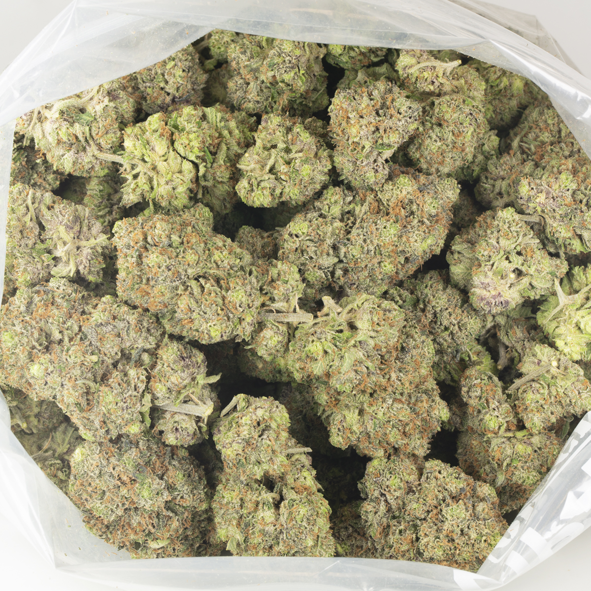 Buy Pink Gas Strain Online Green Society