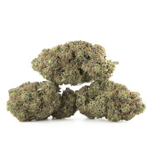 Buy Pink Gas Strain Online Green Society