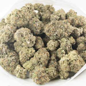 Buy Rainbow Pie Strain Online Green Society