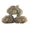 Buy Rainbow Pie Strain Online Green Society
