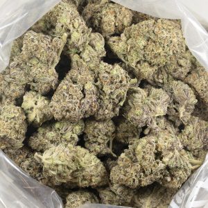 Buy Tropicana Cookies Strain Online Green Society