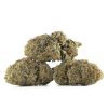 Buy Zkittlez Strain Online Green Society