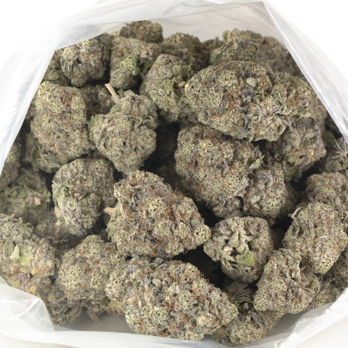 Buy Black Cherry Pie Strain Online Green Society