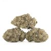 Buy Black Cherry Pie Strain Online Green Society