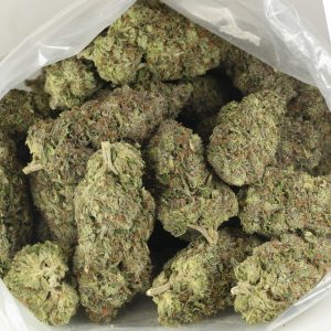 Buy Blue Fin Tuna Strain Online Green Society