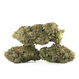 Buy Blue Fin Tuna Strain Online Green Society