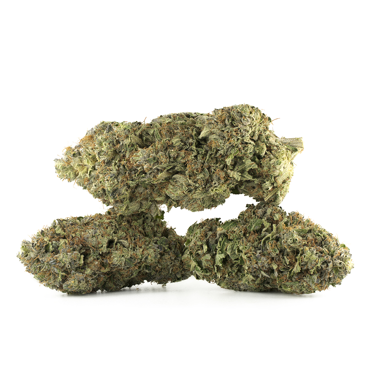 Buy Blue Fin Tuna Strain Online Green Society