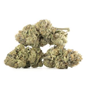 Buy Chemdawg Strain Online Green Society