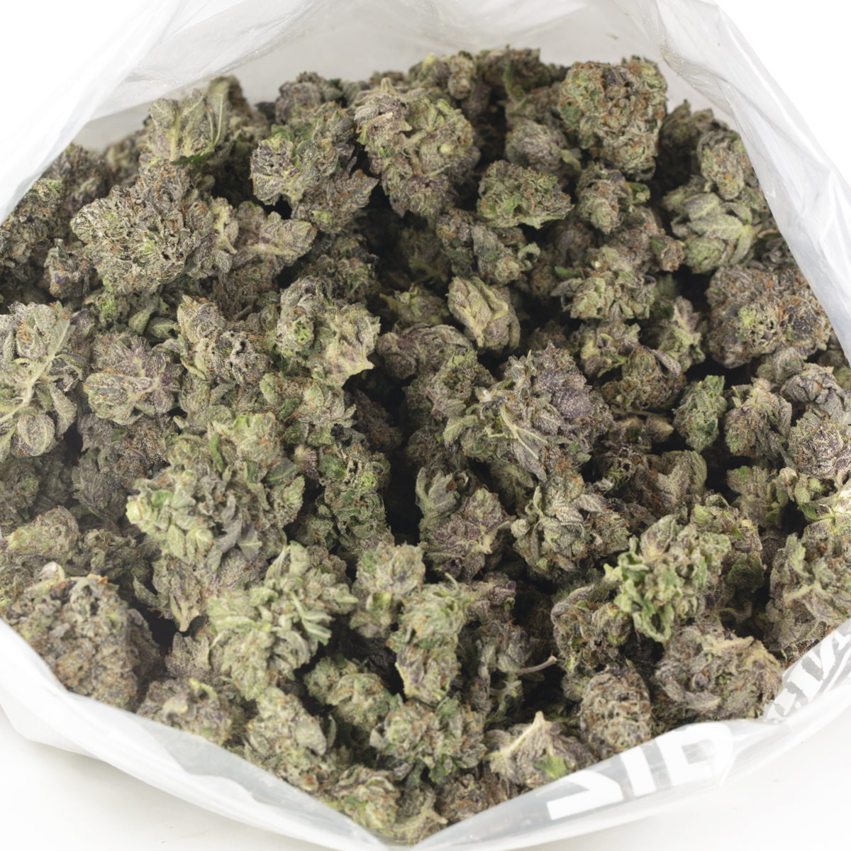 Buy Hindu Kush (Popcorn) Strain Online Green Society