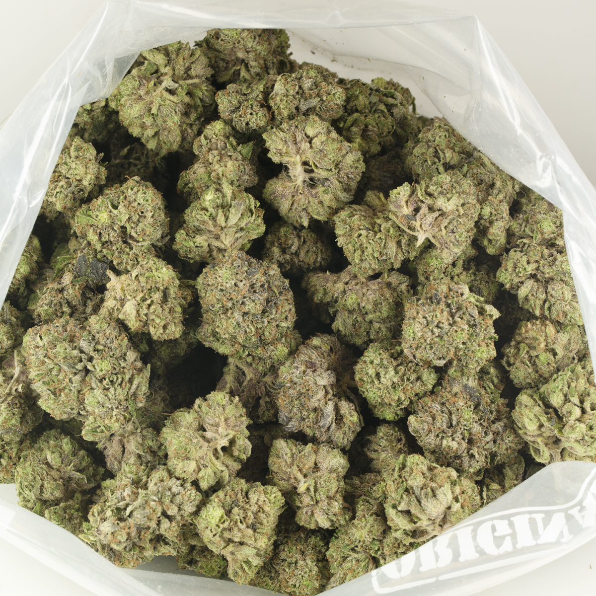 Buy Ice Wreck Kush Strain Online Green Society